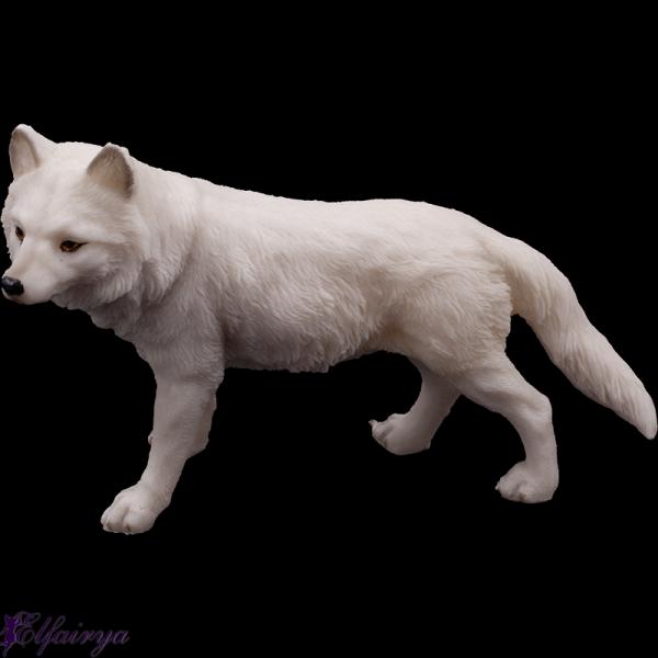 Junger stehender Polarwolf